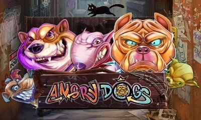 Angry Dogs