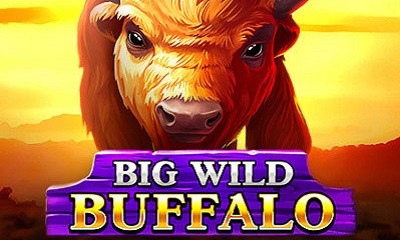 Big Wild Buffalo