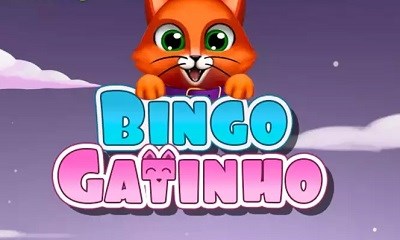 Bingo Gatinho