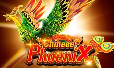 Chinese Phoenix