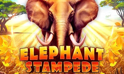 Elephant Stampede