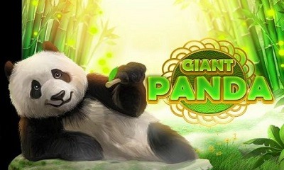 Giant Panda