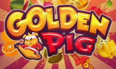 Golden Pig