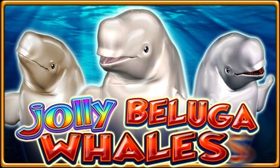 Jolly Beluga Whales