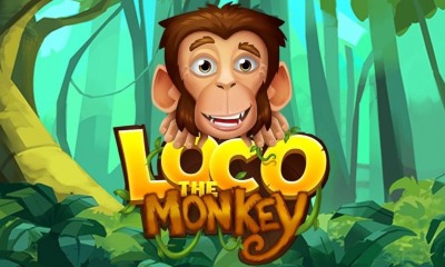 Loco the Monkey