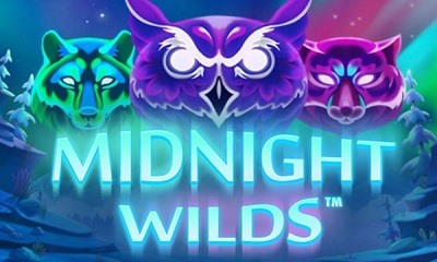 Midnight Wilds