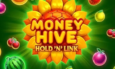 Money Hive Hold N Link
