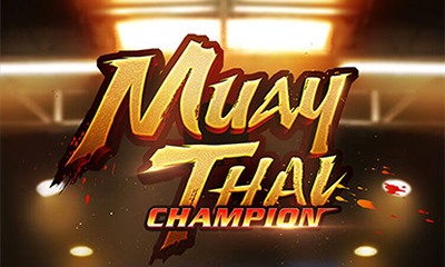 Muay Thai Champion