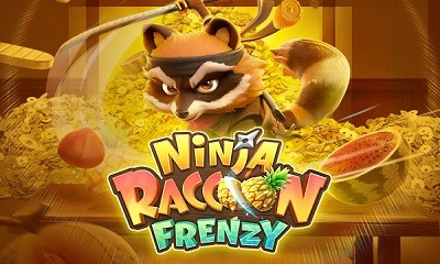 Ninja Raccoon Frenzy