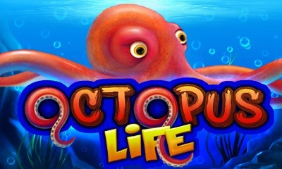 Octopus Life