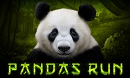 Pandas Run