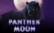 Panther Moon