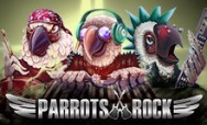 Parrots Rock