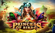 Princess of Birds