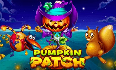 Pumpkin Patch