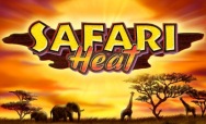 Safari Heat