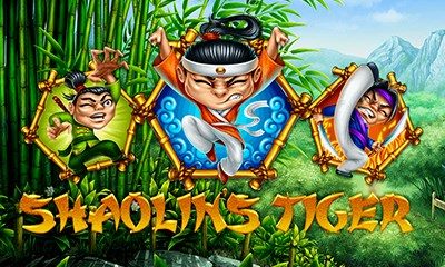 Shaolin's Tiger