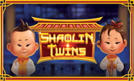 Shaolin Twins