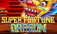 Super Fortune Dragon