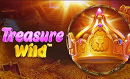 Treasure Wild
