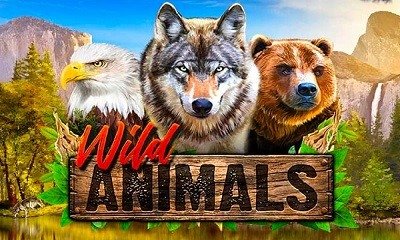 Wild Animals
