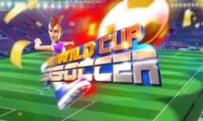 Wild Cup Soccer