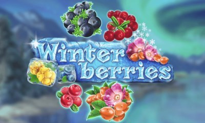 Winterberries