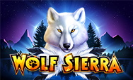 Wolf Sierra